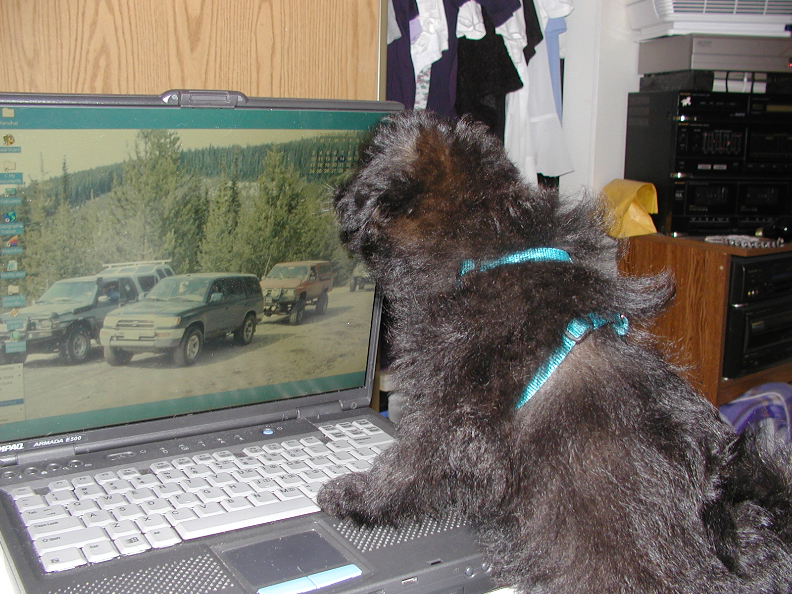 Merlin wants to go 4x4'ing